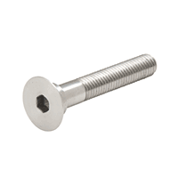 CRL Brushed Stainless Steel 2-1/2" Long Bolt for RRF10BS Glass Fitting